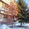 Zeya Hotel