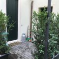 62 B&B
