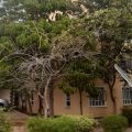 Acacia Resort