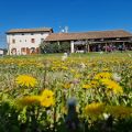 Agriturismo Agrimargherita