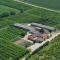 Agriturismo Corte Le Faraone
