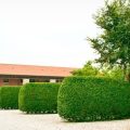 Agriturismo Il Girasole