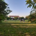 Agriturismo Il Podere