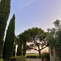 Agriturismo Il Poggiarello
