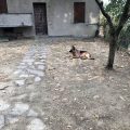 Agriturismo Il Vecchio Borgo