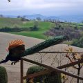 Agriturismo L’Antico Oliveto