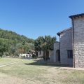 Agriturismo La Collina degli Olivi