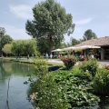 Agriturismo & Pesca Sportiva Lago Orzaie