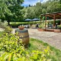 Agriturismo Tassinaia