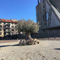 Albergo Savona