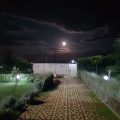 All’Ombra del Carrubo