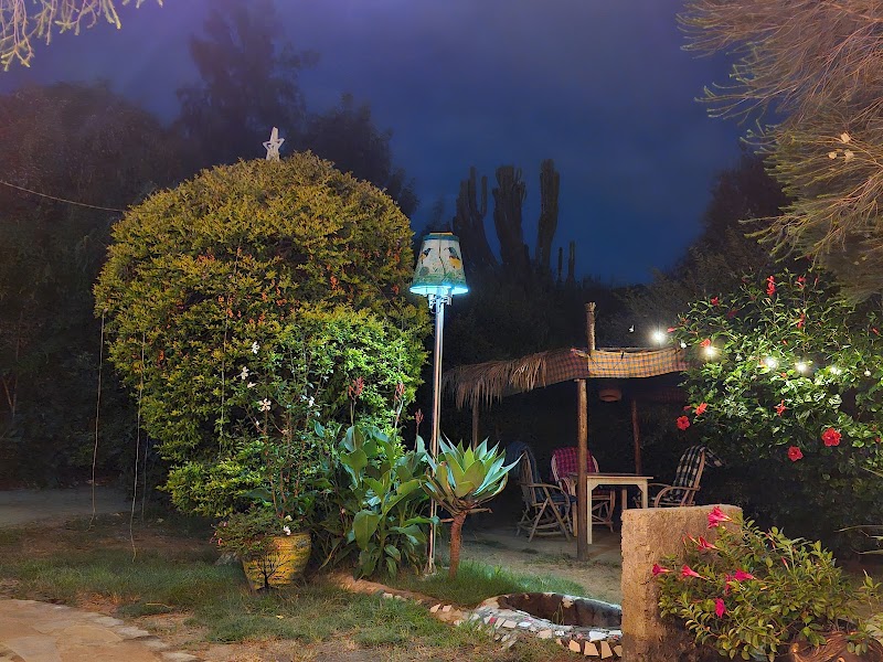 Aloepark Art Hotel in Naivasha, Kenya