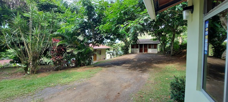 Anita Hostel and Cabins in Pacuarito, Costa Rica