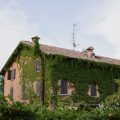 Antico Podere Canovi