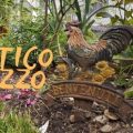 Antico Pozzo