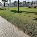 Apparemment à Sidi Rahal