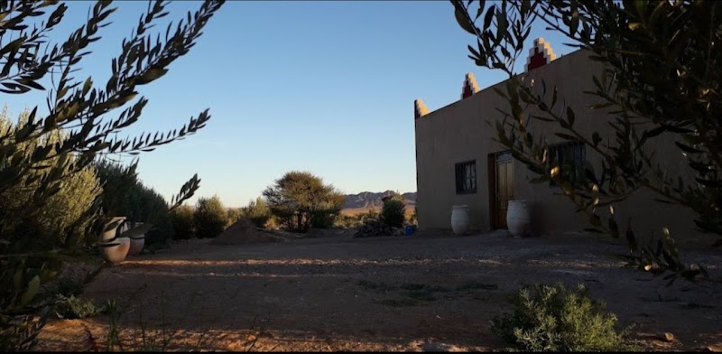 Auberge Chez Hammadi in Taghbalt, Morocco