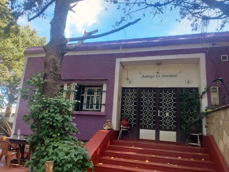 Auberge La Forestiere in Timahdit, Morocco