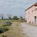 B&B Antichi Gelsi