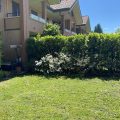 B&B Borgo dei Fiori