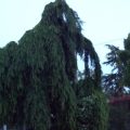 B&B Casa Boscolo