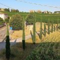 B&B Casa Losea