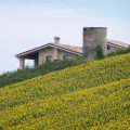 B&B Hill Panorama