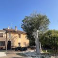 B&B Il Cantinoccio