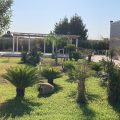 B&B Italia