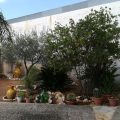 B&B Milena