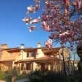 B&B Santa Lucia