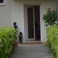 B&B Sinfonia