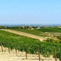 B&B Tenuta Stefenelli