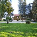 B&B Verdeoliva