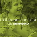 B&B in Fattoria