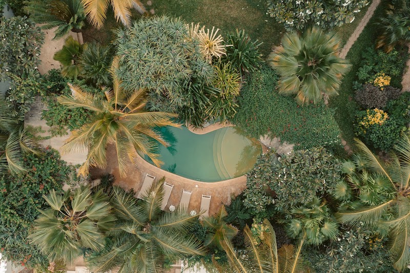 Banana House and Wellness Centre in Lamu, Kenya
