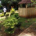 Becky’s Garden