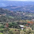Bella Vista Ranch Ecolodge
