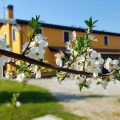 Borgo Borromeo by Guardavaglia Diego