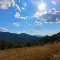Bosco al Sole
