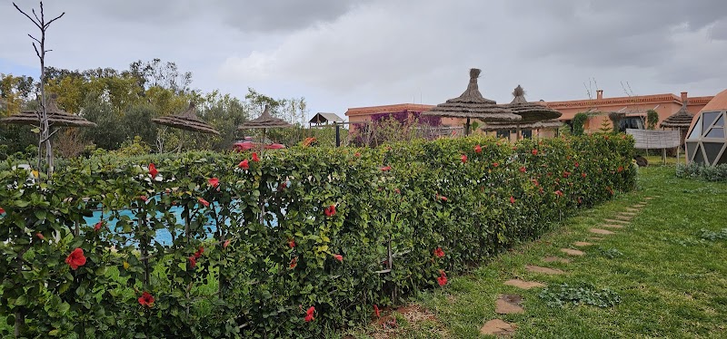 Bougainvilla Guesthouse in Sidi Moussa Ben Ali, Morocco