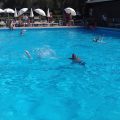 Brezza da Mare