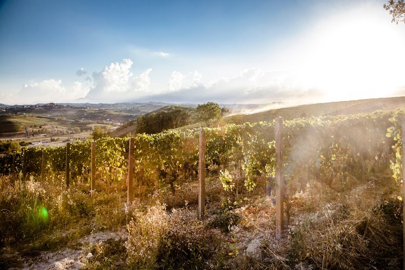 Bricco di Nizza in Nizza Monferrato, Italy
