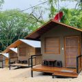 Cabañas del Bosque