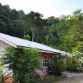 Cabinas Canto al Tucan