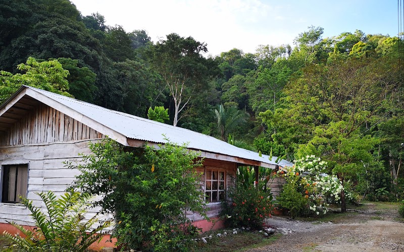 Cabinas Canto al Tucan in Golfito, Costa Rica