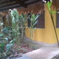 Cabinas Guarana