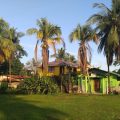 Cabinas Tortuguero Natural