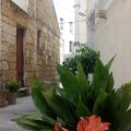 Campacavallo B&B