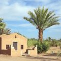 Camping Les Palmeraies